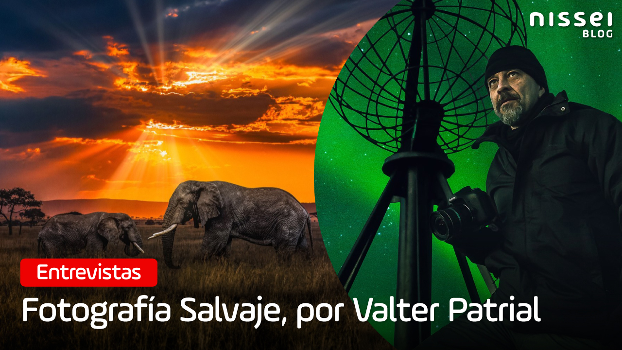 Valter Patrial, el físico y fotógrafo especializado en fauna salvaje